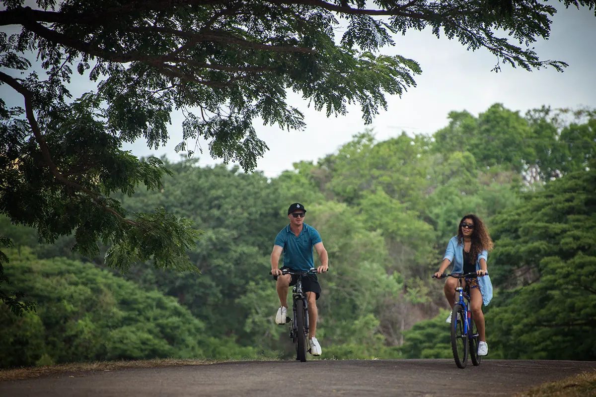 Cycling, Tree Planting & Community Care